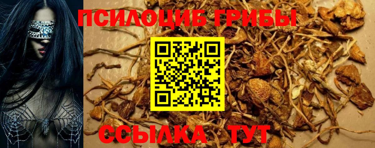 Галлюциногенные грибы Magic Shrooms Алексин