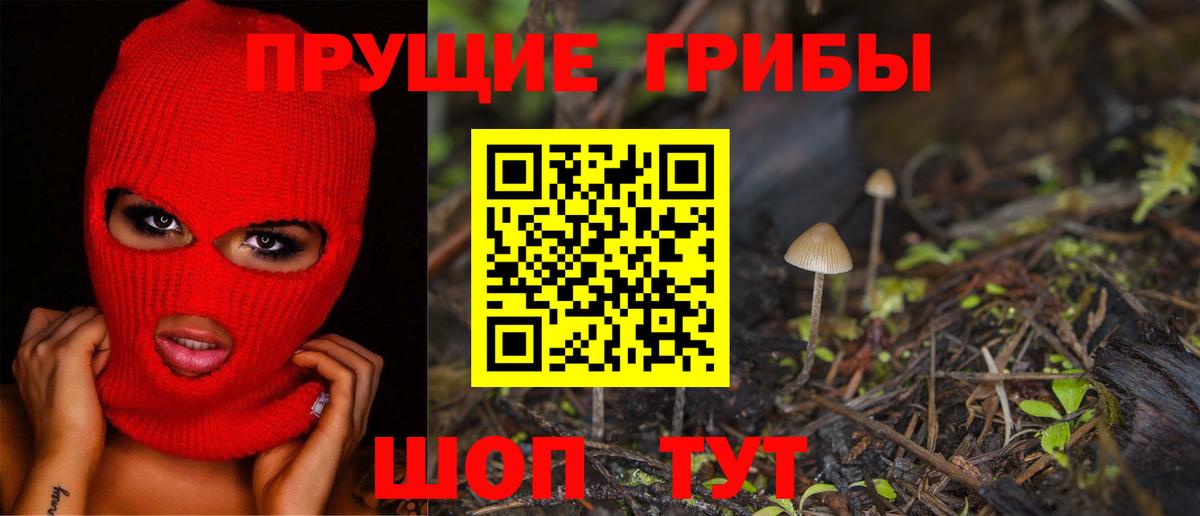 Псилоцибиновые грибы мицелий  Вход с VPN  продажа наркотиков  Галлюциногенные грибы ЛСД  Алексин 